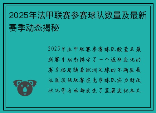 2025年法甲联赛参赛球队数量及最新赛季动态揭秘
