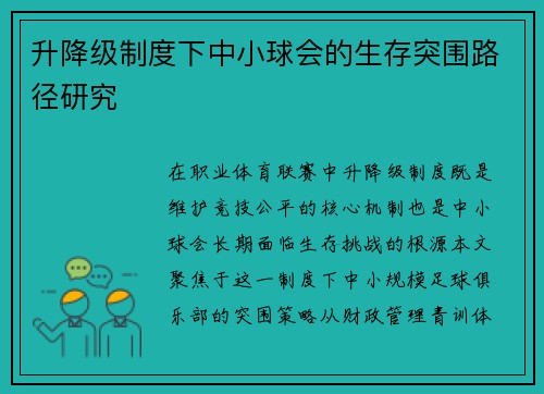 升降级制度下中小球会的生存突围路径研究